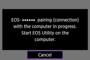 Camera — Pairing in progress